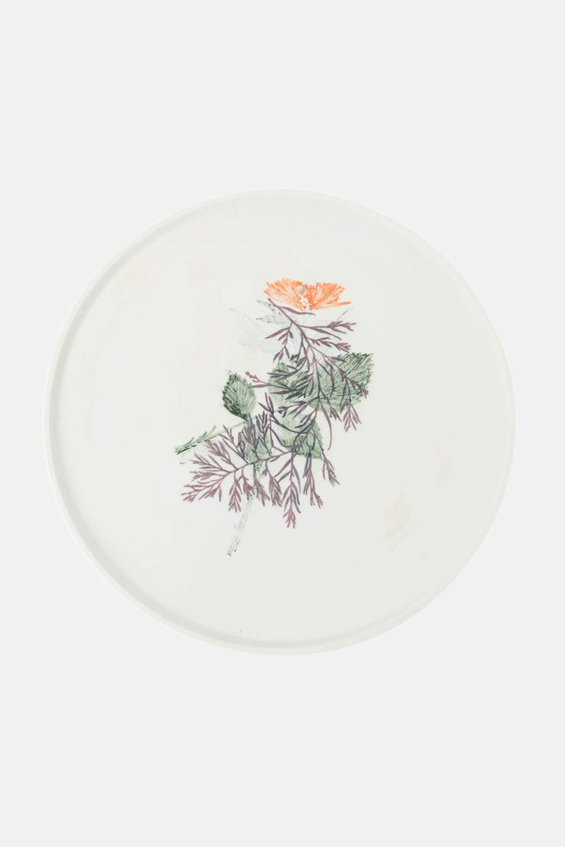 Set d'Assiettes en Porcelaine Thomas Eyck